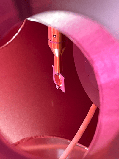 sample in plasma